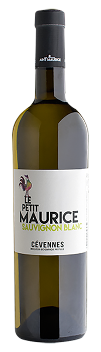LE PETIT MAURICE Sauvignon Blanc web stm